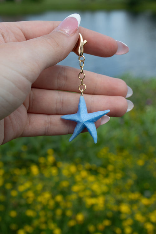 Hand holding a blue star-shaped keychain with a blurred natural background